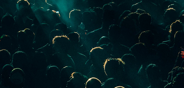 pexels-nolandlive-26447523 1